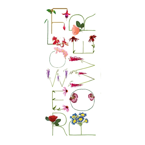 Flowerpower, Blumen Buchstaben gedruckt auf Basics aus Bio-Baumwolle von Steney Stella, faibleshop.com