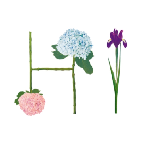 das Hi-Design ist aus den Blumenbuchstaben H wie Hydrangea und I wie Iris und wird vegan auf die organic Basics gedruckt