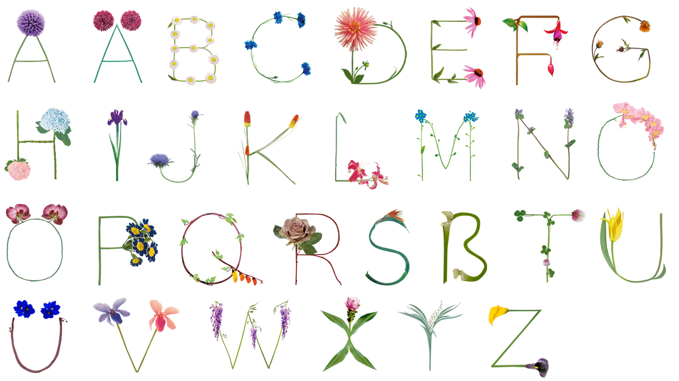 Blumenalphabet, Blumenbuchstaben von A wie Allium bis Z wie Zandeschia